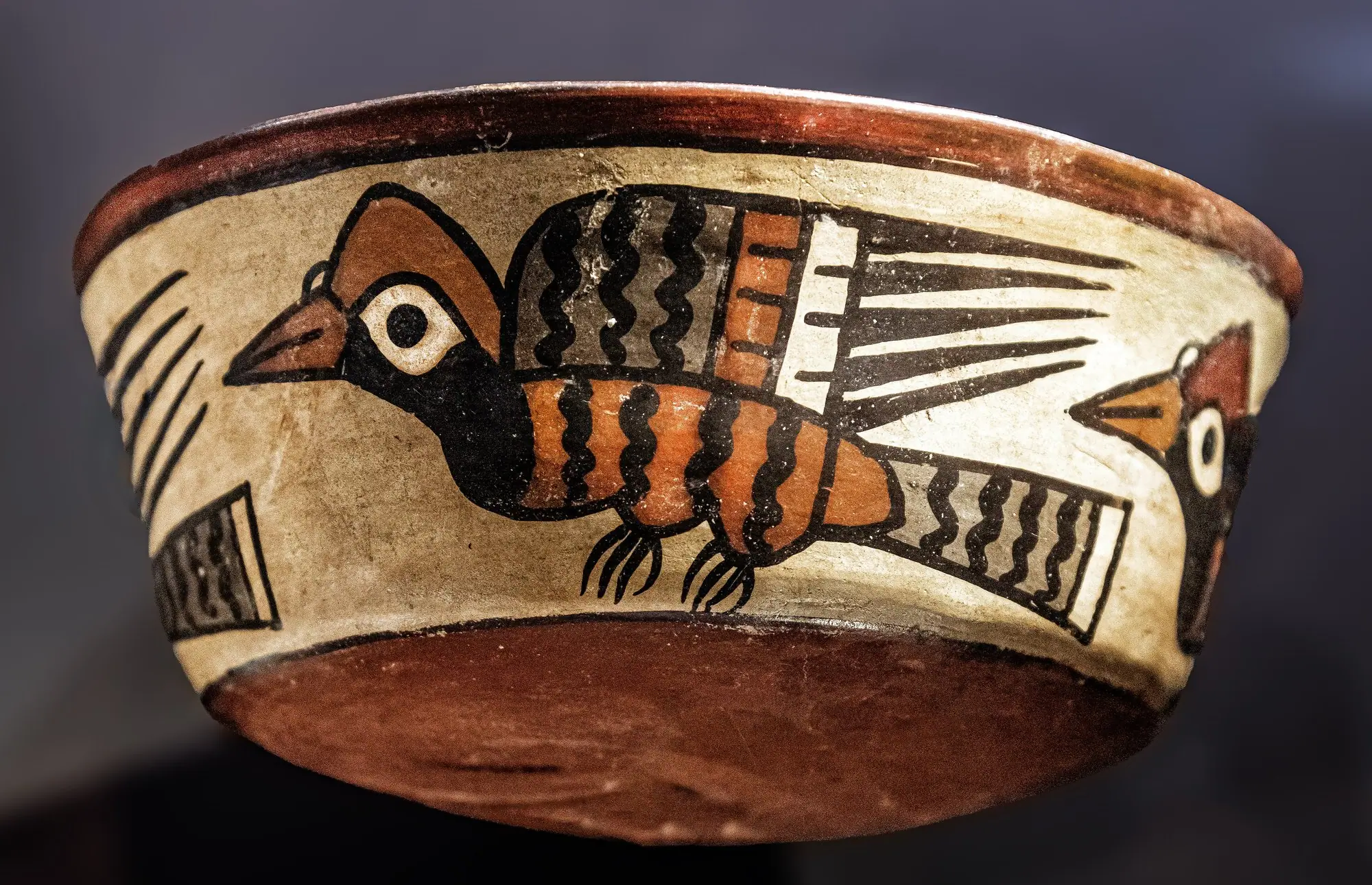 Cuenco de cerámica nasca pintado con una franja de aves